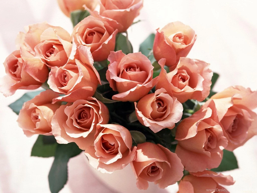Roses Bunch Wallpapers