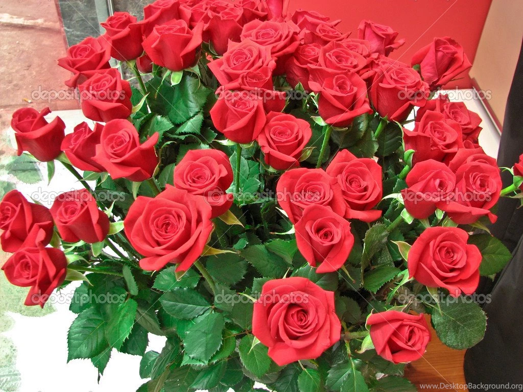 Bunch Of Roses Pictures HD Wallpapers And Pictures