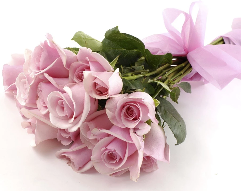Bunch Of Roses Pictures HD Wallpapers And Pictures