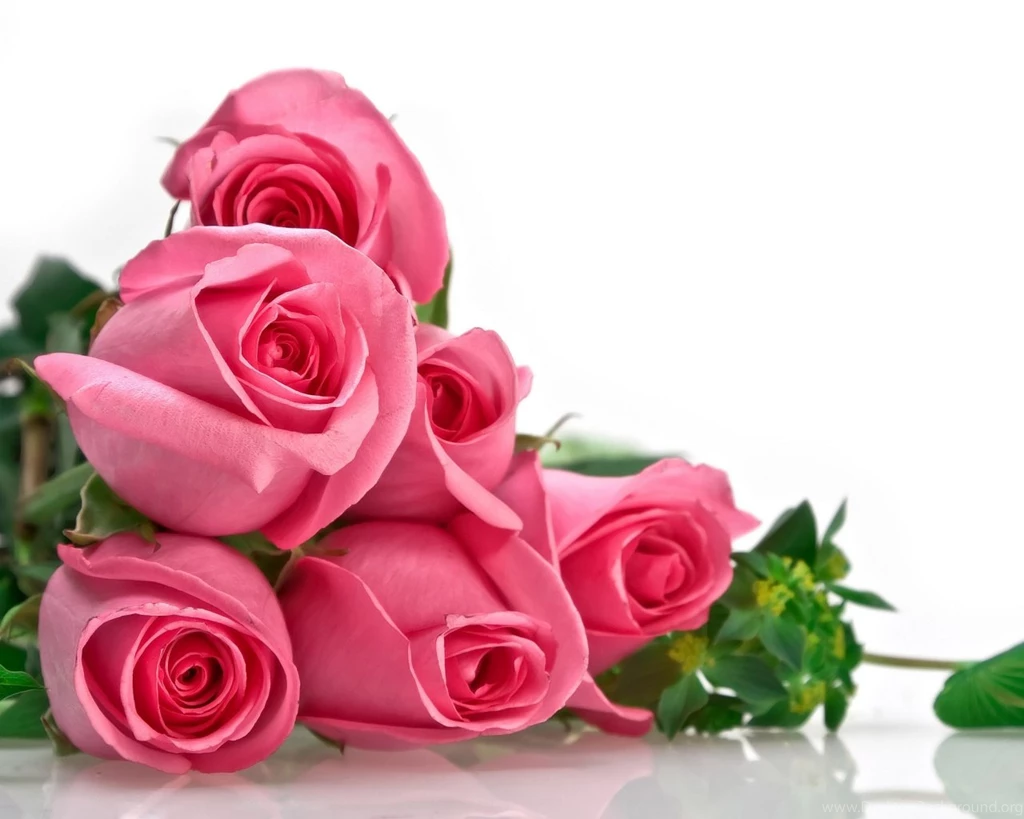 Red Roses Bunch Wallpaper Images
