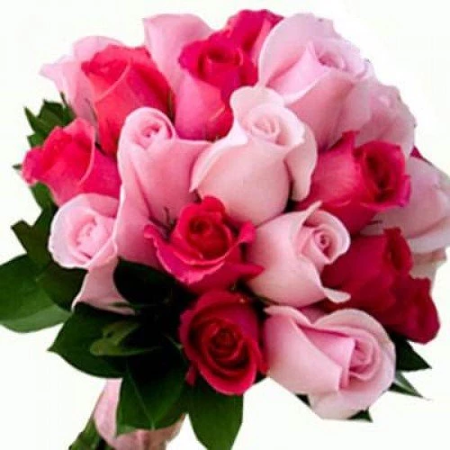 Valentines Day Flowers To Vijayawada In Vijayawada