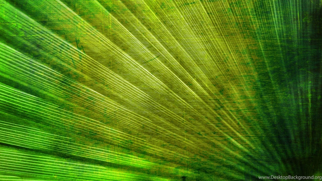 Download Wallpapers 1920x1080 Lines, Surface, Texture, Green, Cross ...