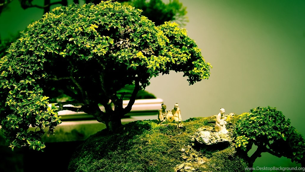 Bonsai Tree Shape Art Composition Wallpapers