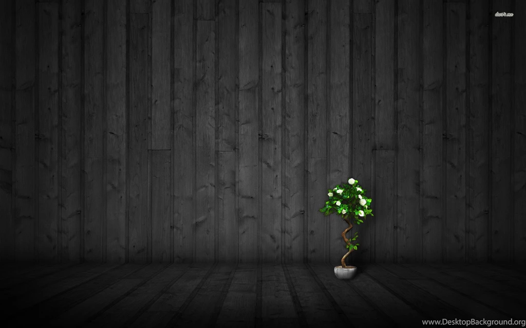 Bonsai Wallpapers Digital Art Wallpapers