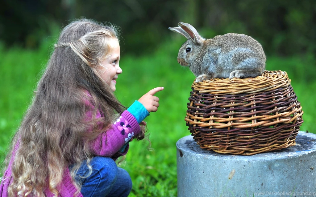 Little Girl With Rabbit Wallpapers