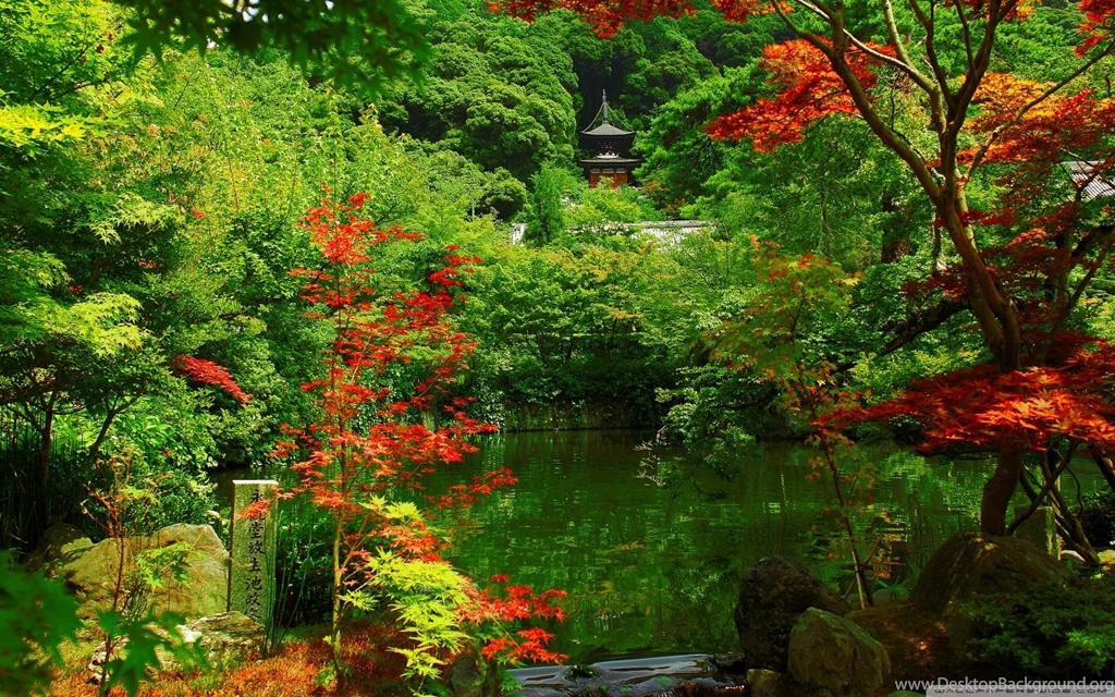 Kyoto Garden, Japan HD Desktop Wallpapers : Widescreen : High ...