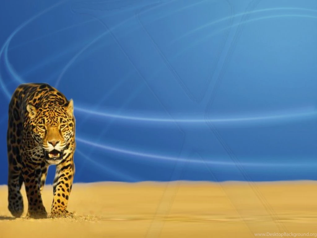Screen Backgrounds Wallpapers HD Base