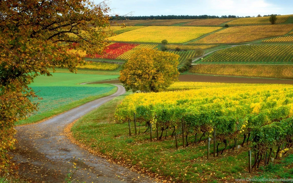 Scenic Wallpapers