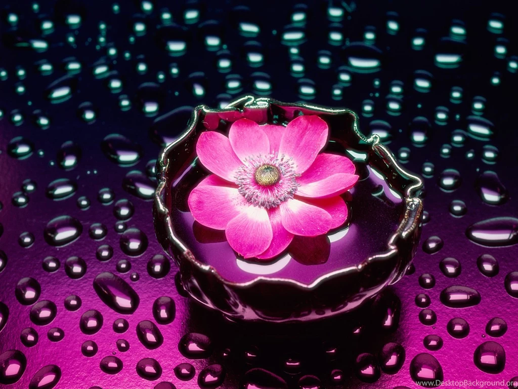 Pink Flower Pink (Color) Wallpapers (24018968) Fanpop
