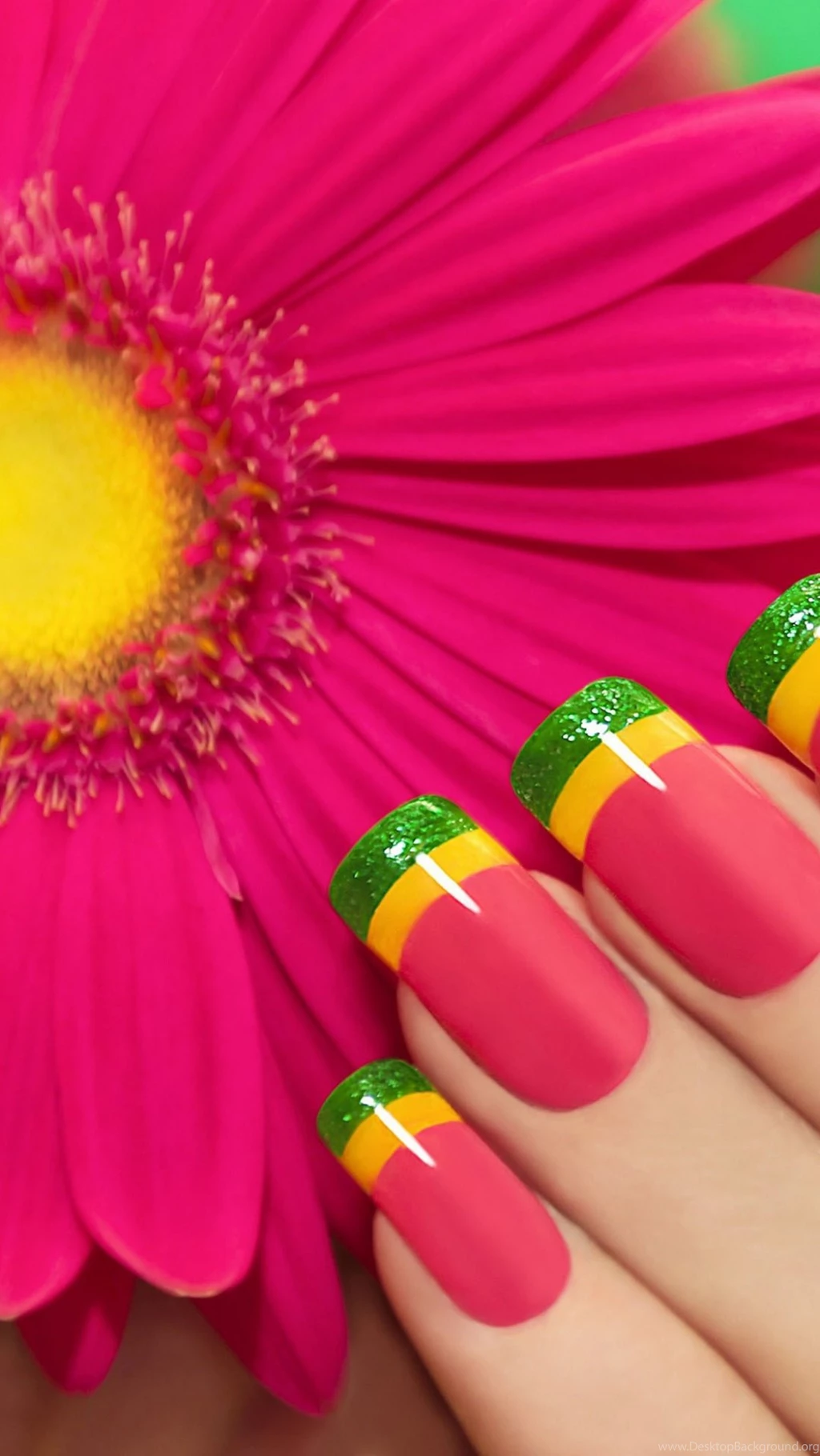 Download Wallpapers 1080x1920 Gerbera, Pink, Flower, Manicure ...