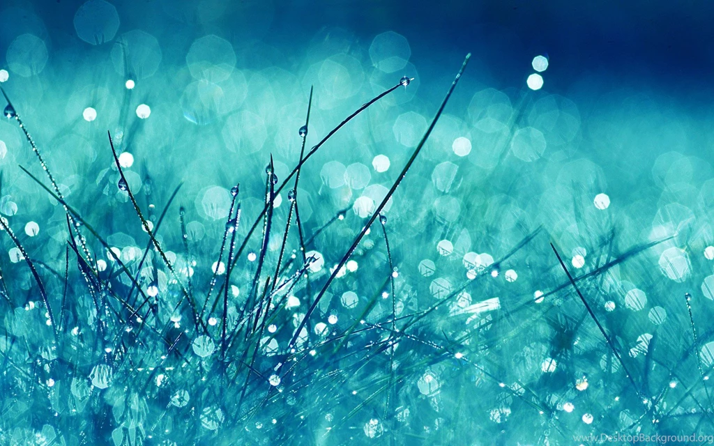 Www.intrawallpaper.com HD Wallpapers Page 1