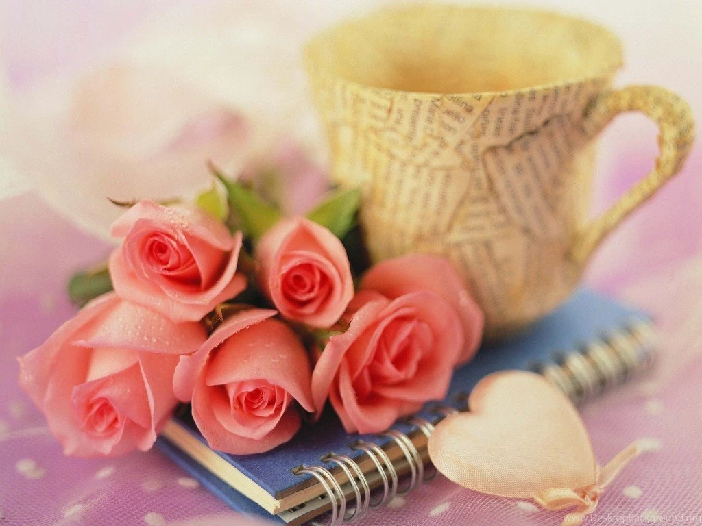 1024x768 Paper Cup Love Desktop PC And Mac Wallpapers