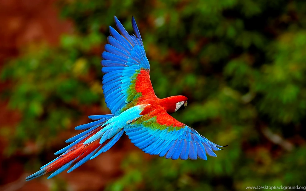 Super Wallpapers