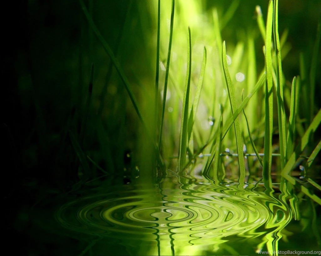 Grass Ripples Green Wallpapers (19839098) Fanpop