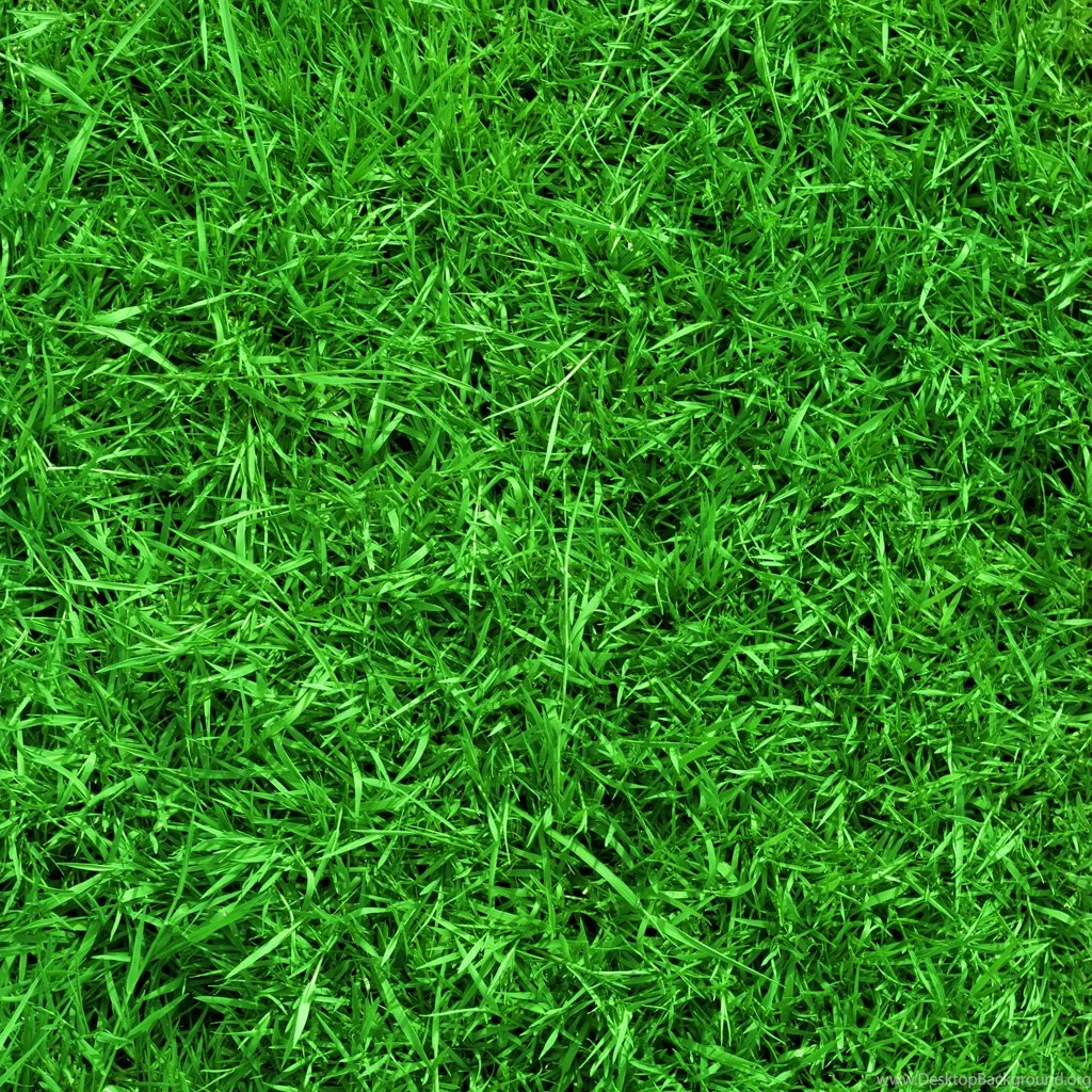 Grass Wallpapers Cool