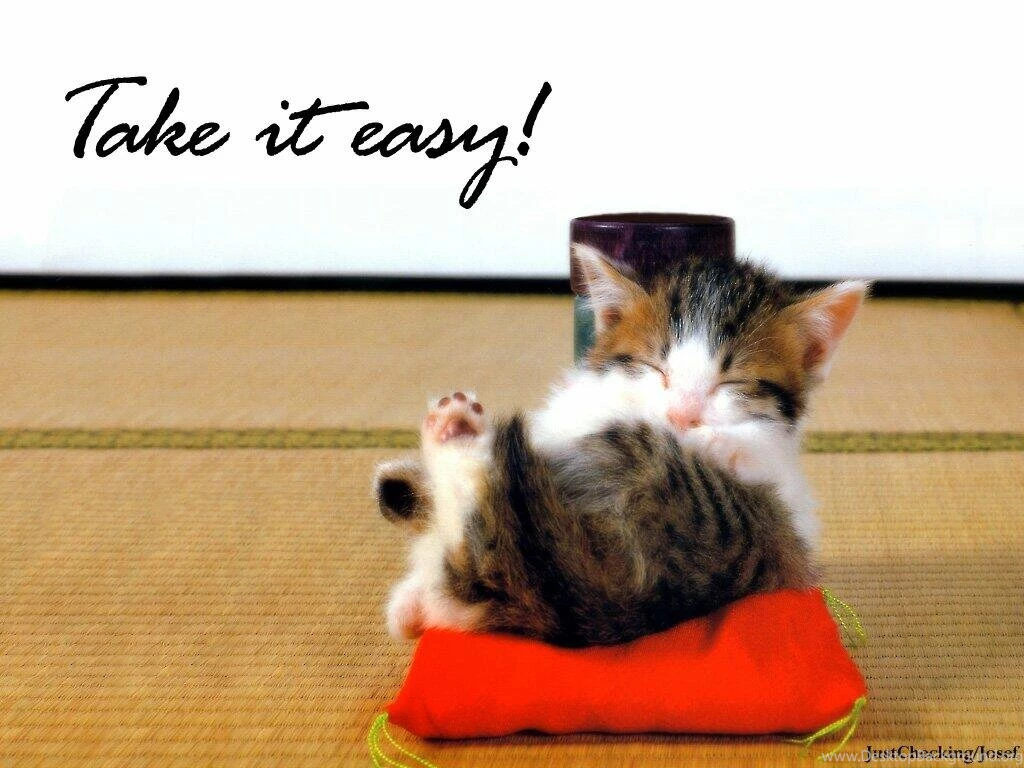Cat Pictures With Sayings Widescreen HD Wallpapers