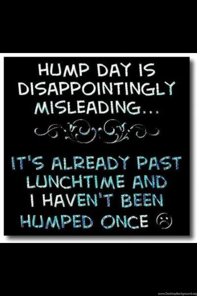 Funny Wrestling Quotes And Sayings. QuotesGram
