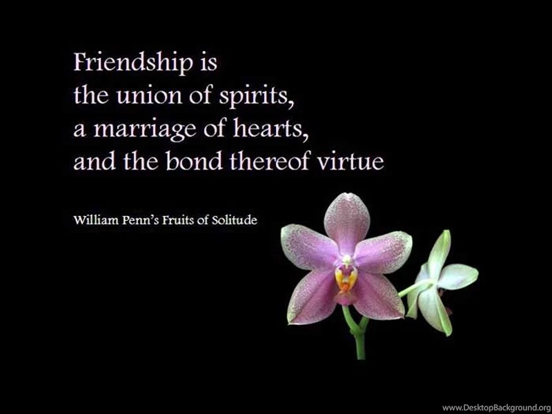 Best Funny {*Friendship_} Quotes And Images Free Download