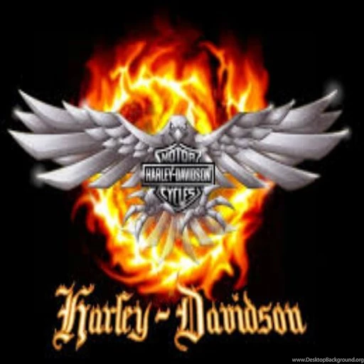 Harley Davidson Logo Wallpapers Hd Free Android Application ...