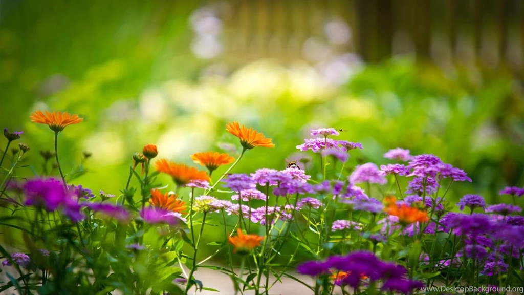 Beautiful wallpapers for good looking desktop background.jpg