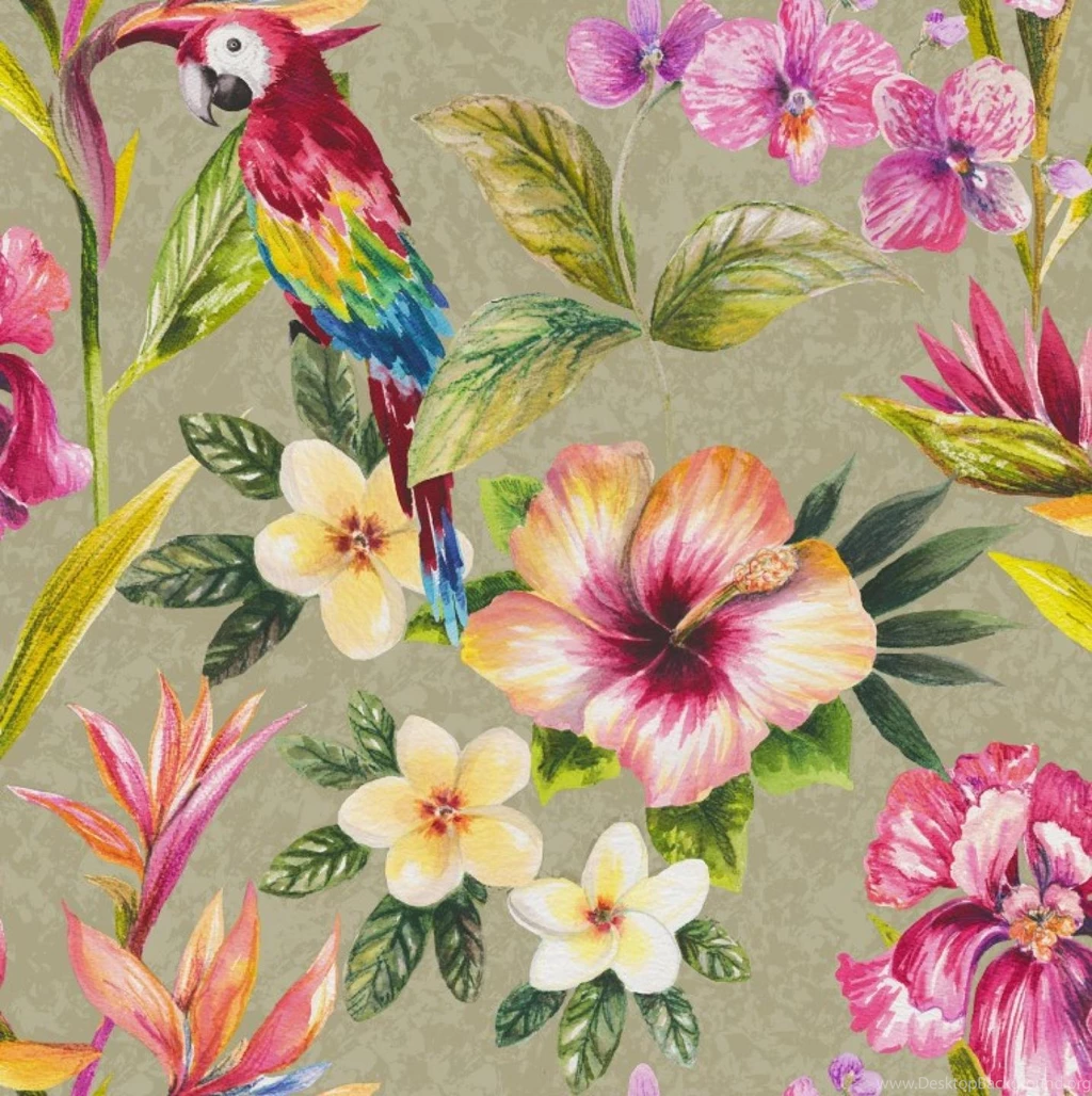 Paradise, Bird Of Paradise 98431 By Holden Catalogue