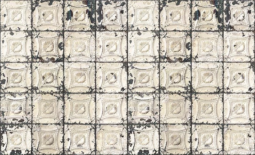 Floral Wallpapers / Paper / Rustic / Non woven   TIN 01 By Merci   NLXL