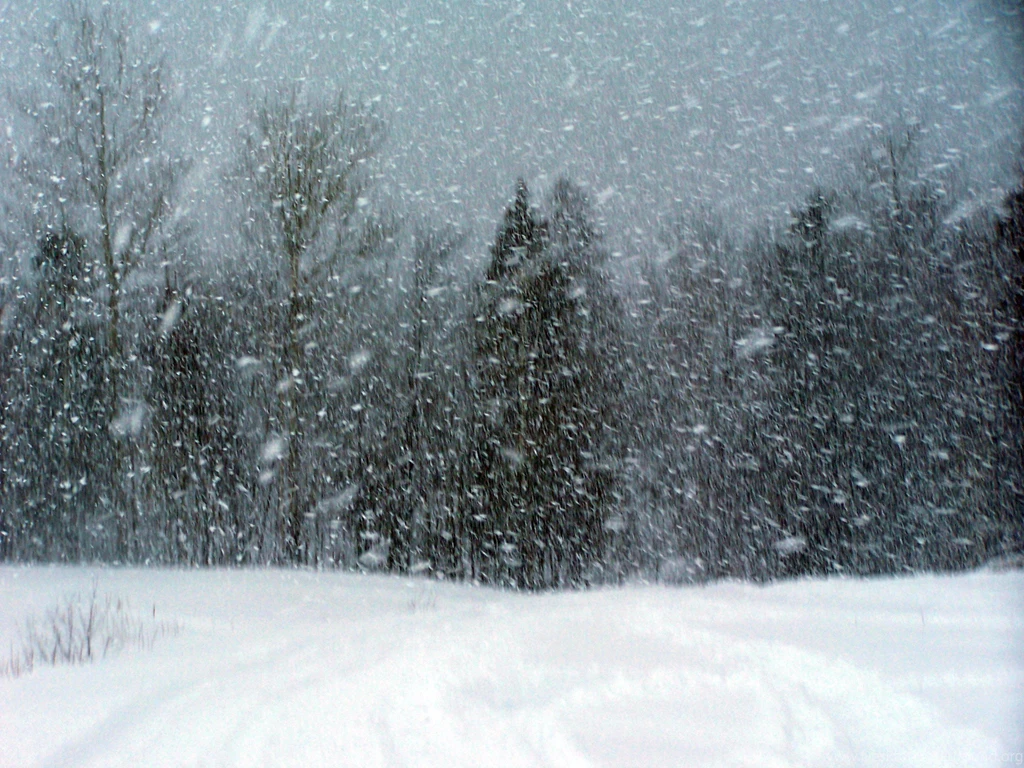 Winter Storm Montana Bing Images