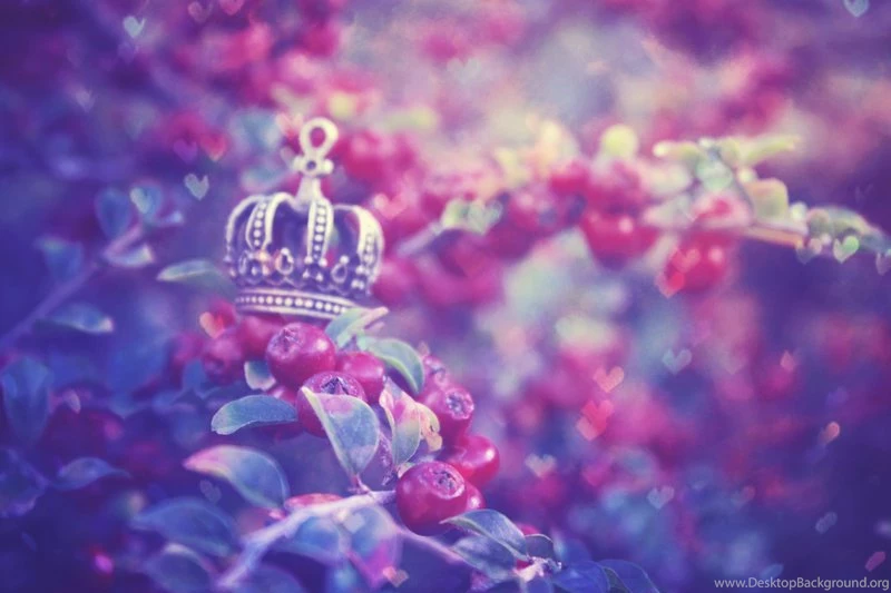 The Pixie King's Crown By UntamedUnwanted On DeviantArt
