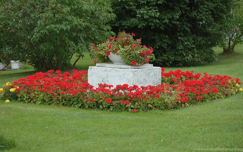 Moril flowers Garden Computer Wallpapers, Desktop Backgrounds ...