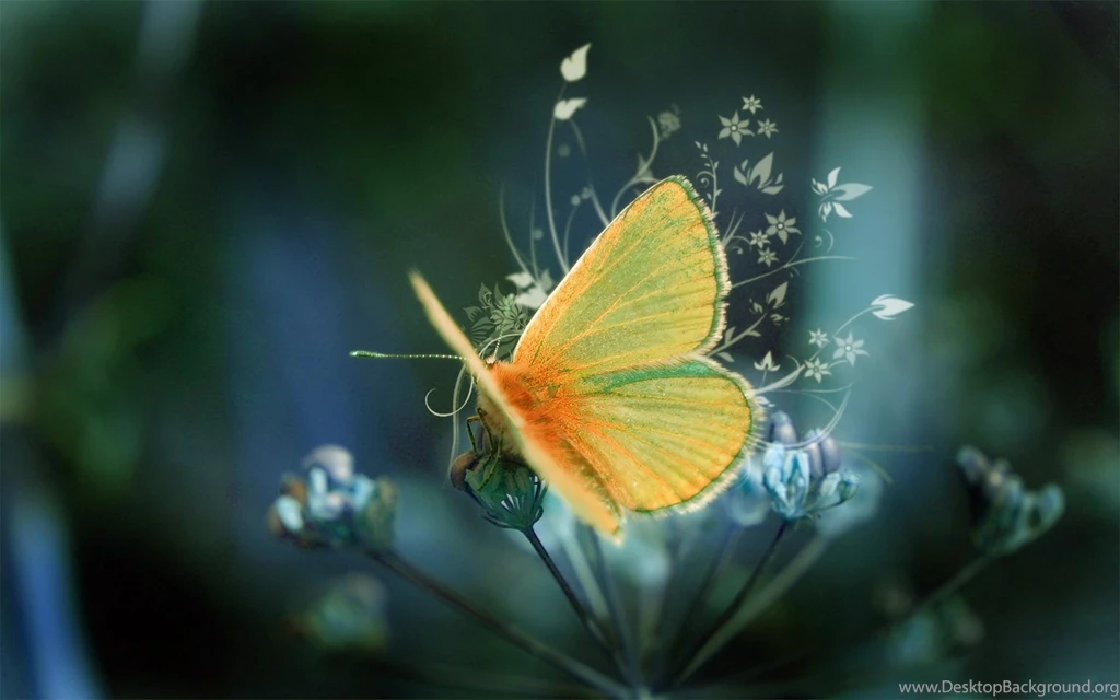64 HD Amazing Beautiful Wallpapers For Your DesktopAdvisor For ...
