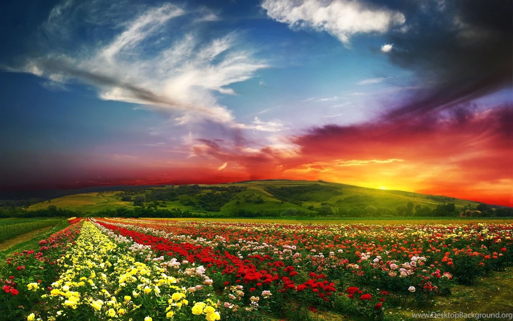 HD Wallpapers N