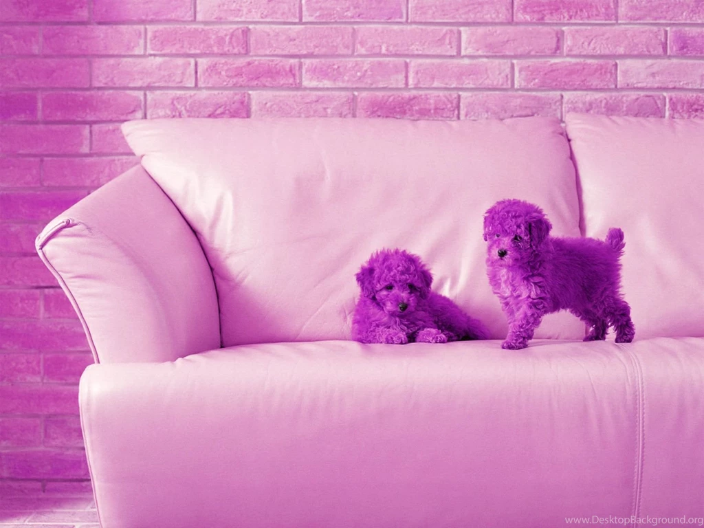 Cute Backgrounds For Computer Wallpapers Cave