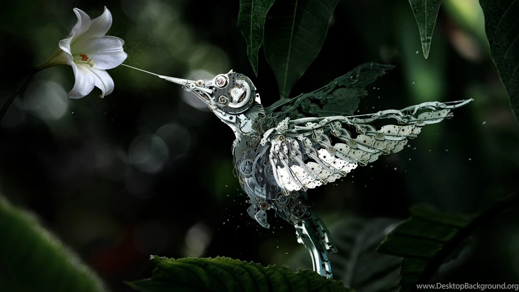 200 Hummingbird HD Wallpapers