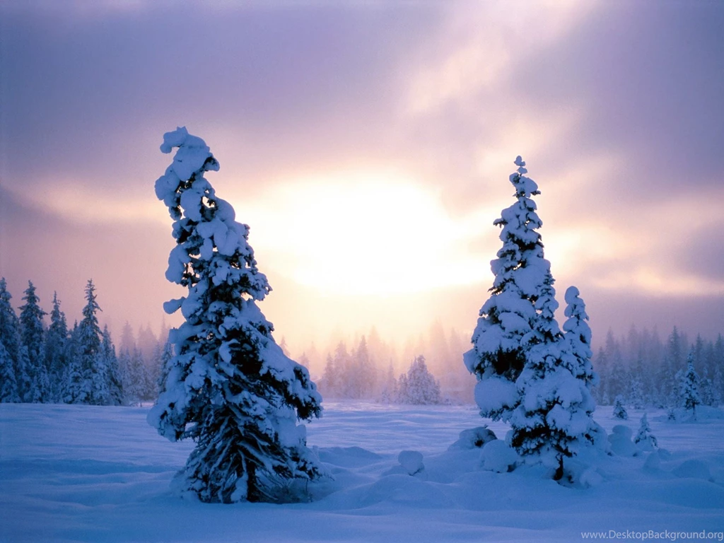 Christmas Winter Free Large Images