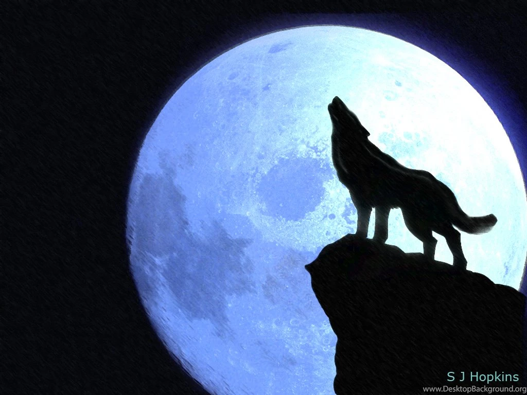 Jestingstock.com Wolf Howling At The Red Moon Wallpapers