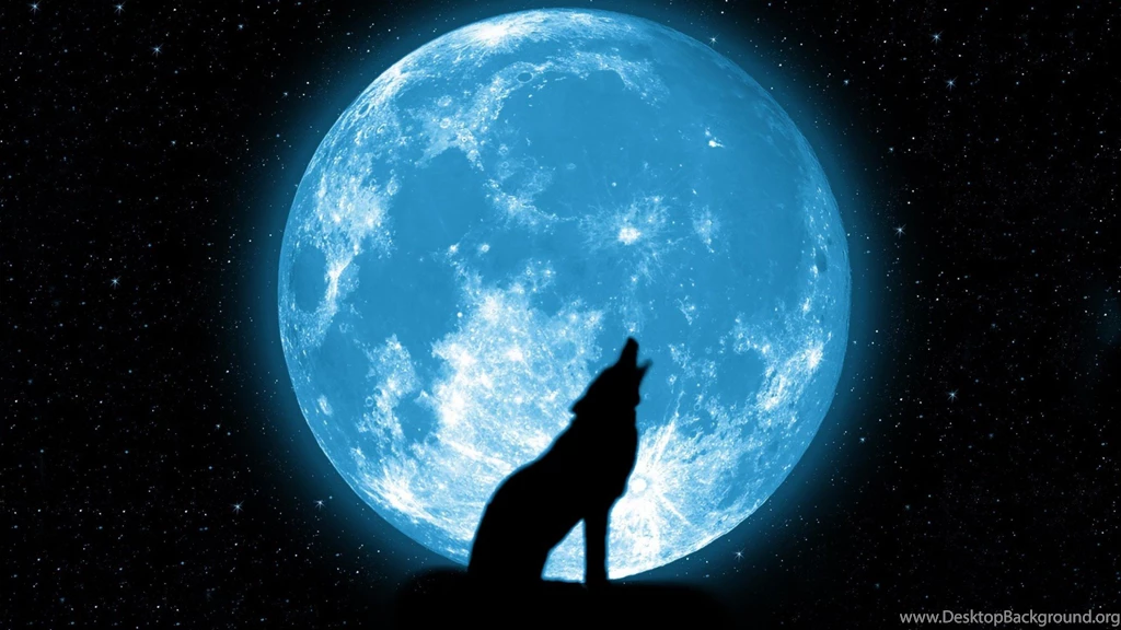 Wallpapers Night, Sky, Moon, Wolf, Stars, Wolf Howling At The Moon.