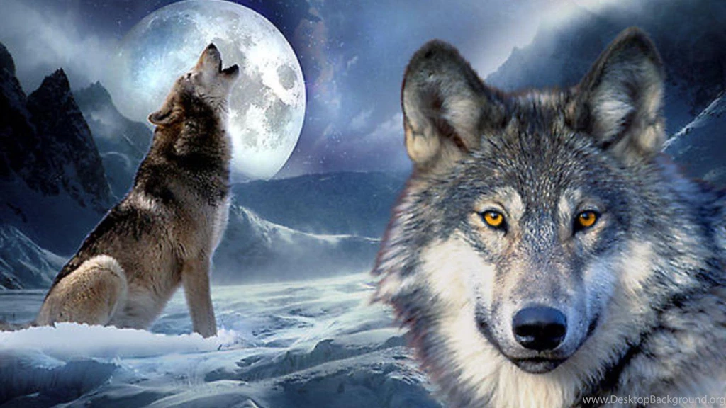 2015: The Year Of The Wolf