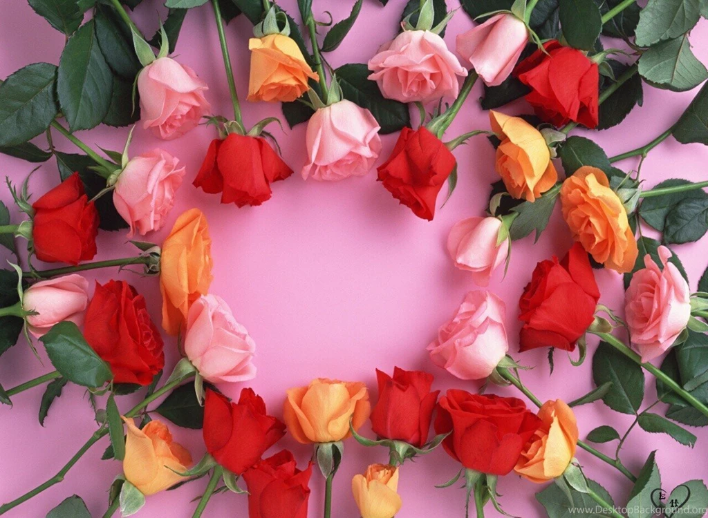 Flowers Wallpapers Part 4   Transformers Wallpapers