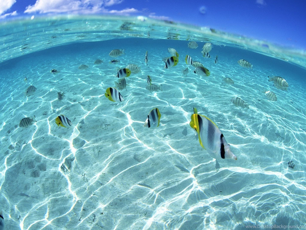 Hawaii Beach Hawaii's Aquamarine Sea And Blue Sky 1600x1200 NO.5 ...