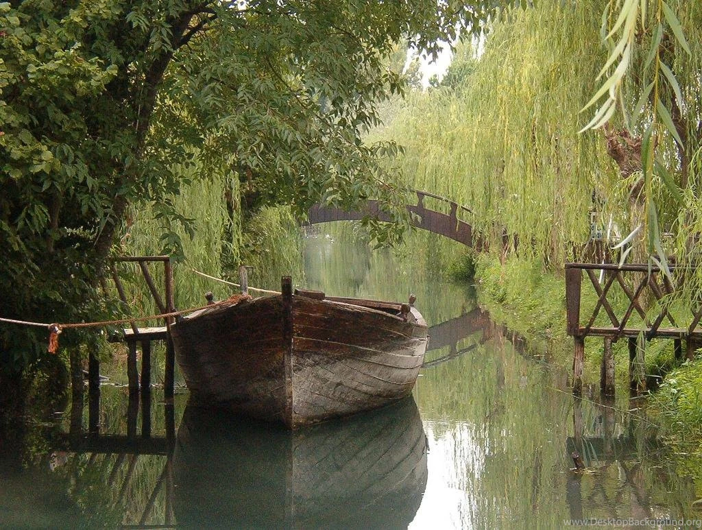 Computer Wallpapers Desktop Backgrounds Hd Free Wallpapers ...
