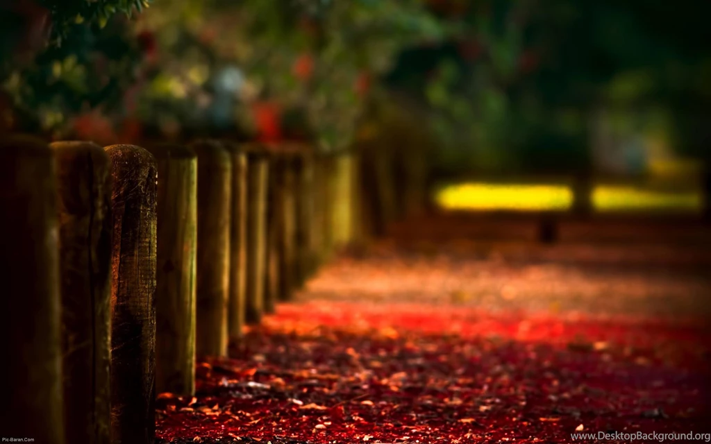 Download The Red Leaf Bridge Wallpaper, Red Leaf Bridge iPhone ...