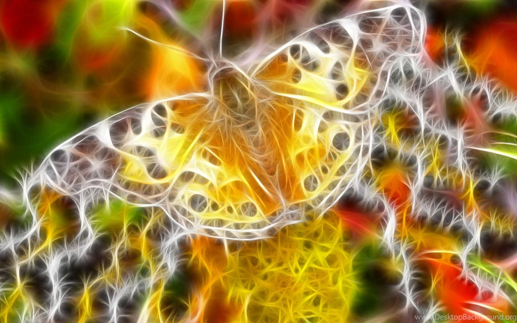 Colorful Line Butterfly High Definition Wallpapers Wallpapers At ...
