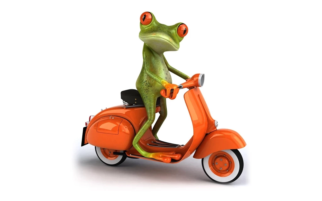 Cartoon Frog Drive Scooter Funny Wallpapers