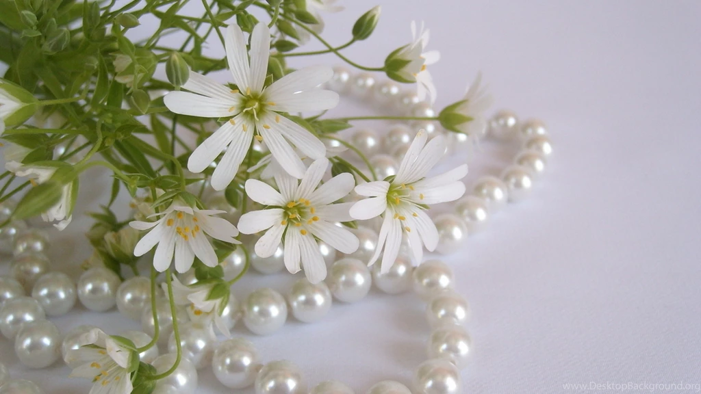 Download Wallpapers 3840x2160 Flowers, White, Small, Beads, Pearls ...