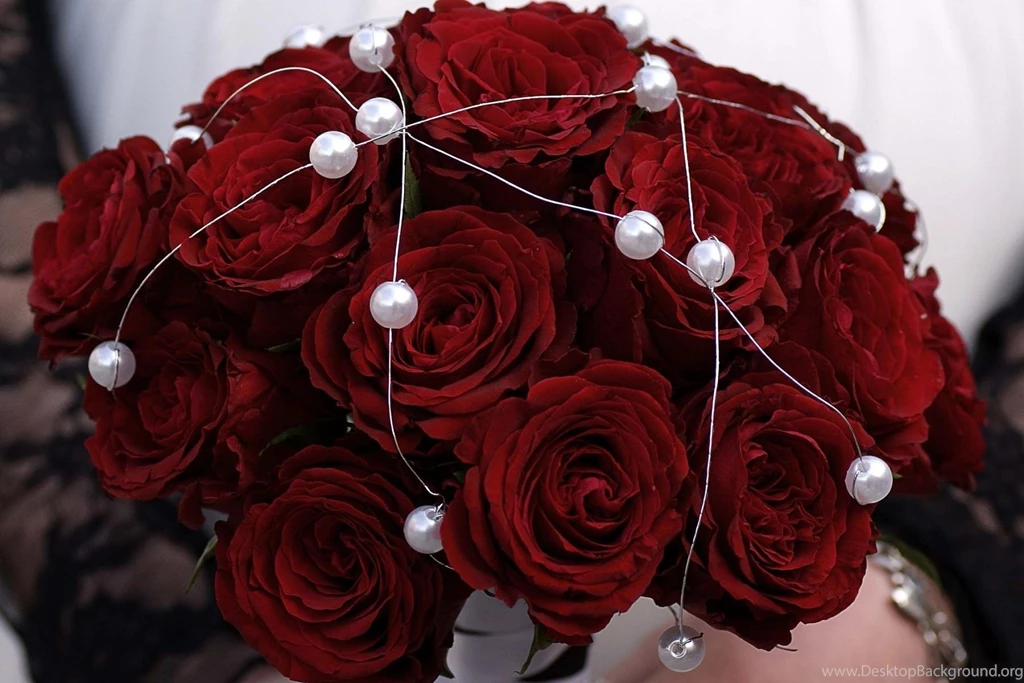 Download Wallpapers Rose, Red, Flower, Beads, Metal HD Backgrounds