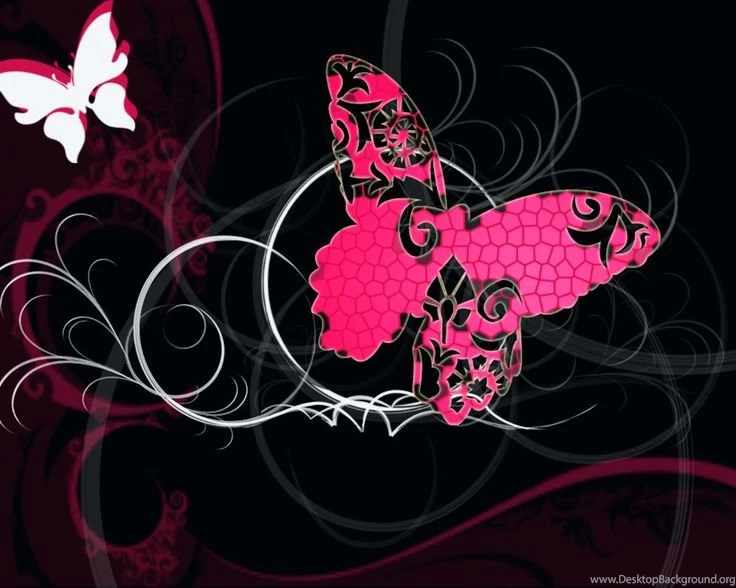 Butterflies Wallpapers On Pinterest