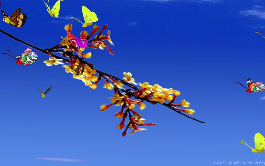 Free 3D Butterfly Screensaver Computer Wallpapers, Desktop ...