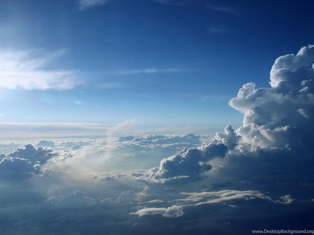 Picture Of Sky High Saunders