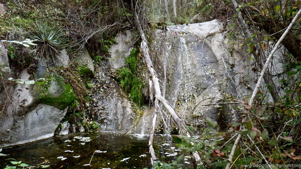 Mossy Oak Camo Wallpapers 28763 HD Wallpapers