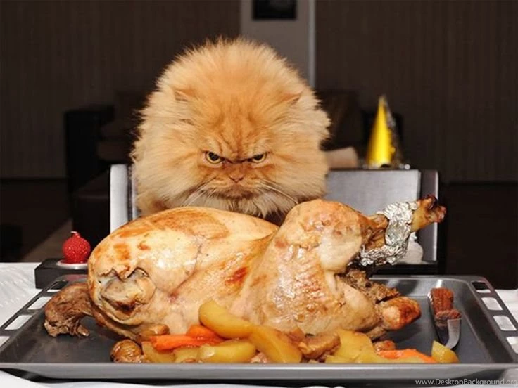 Thanksgiving Desktop Wallpapers